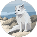 Shahmir Khan profile picture